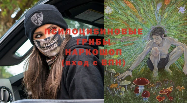 ГАЛЛЮЦИНОГЕННЫЕ ГРИБЫ Костерёво
