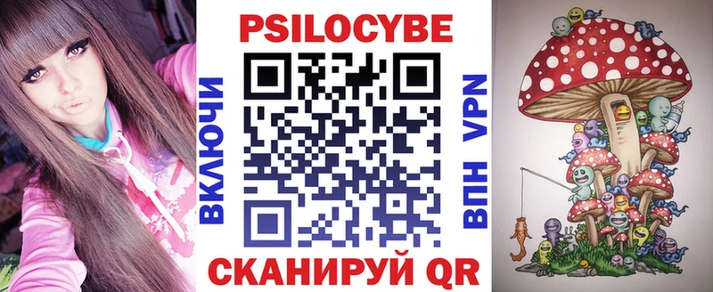 купить   Алапаевск  Псилоцибиновые грибы Psilocybe 